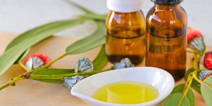 Aceite esencial de eucalipto en botellas y plato
