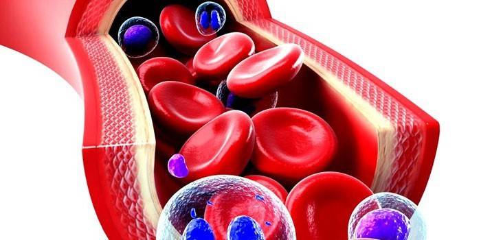 Padrão de sangue em um vaso sanguíneo