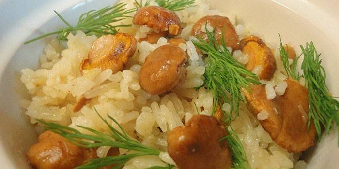 Cogumelos com Arroz