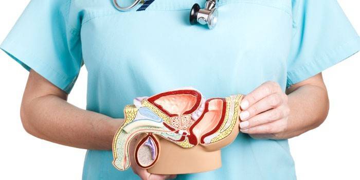 Modelo de treinamento nas mãos de um médico