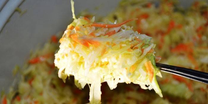 Ensalada de col