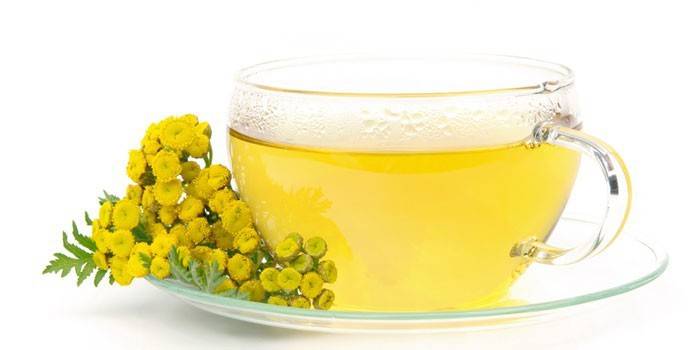 Tansy decocción en una taza