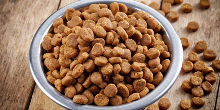 Comida seca para gatos