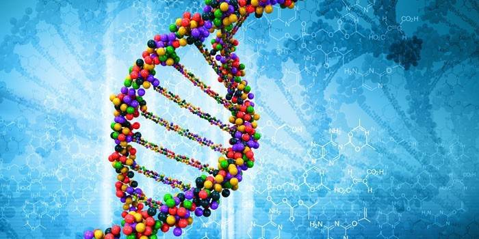 Molécula de DNA