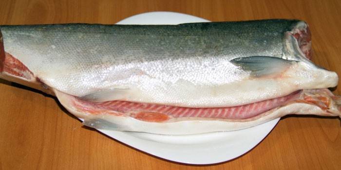 Salmón coho picado en un plato