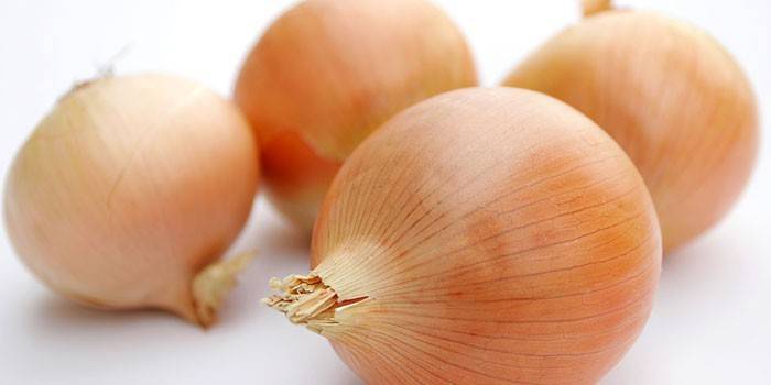 Cebollas