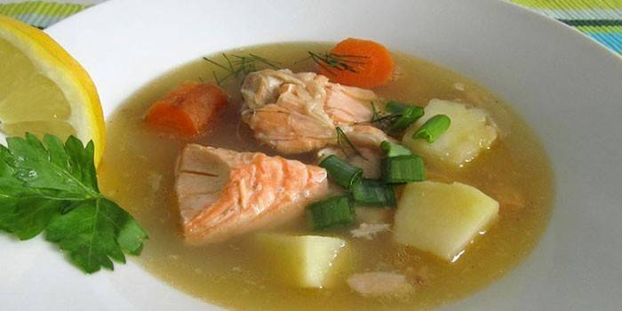 Sopa de peixe truta em um prato