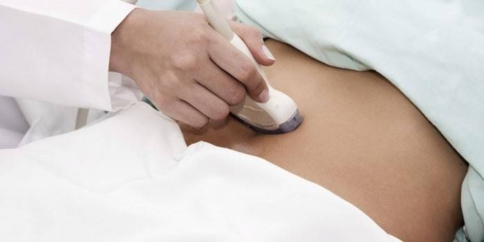 O médico realiza um exame ultra-sonográfico dos órgãos pélvicos