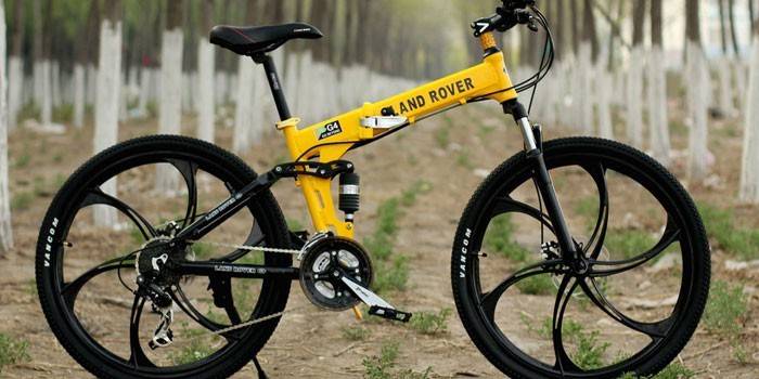 Bicicleta de montanha