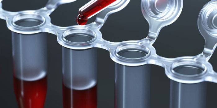 Teste de sangue e pipetagem
