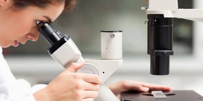Examen microscópico