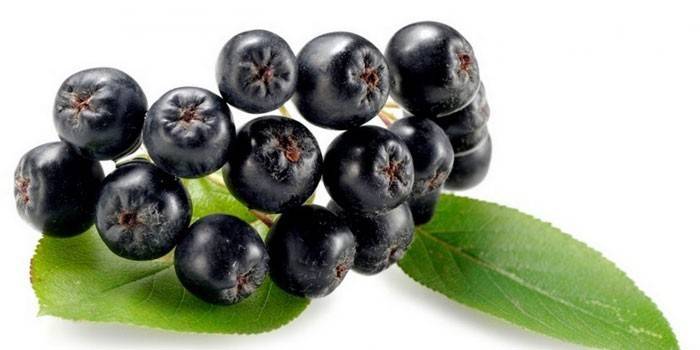 Bayas Aronia