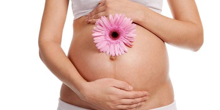 Niña embarazada con flor