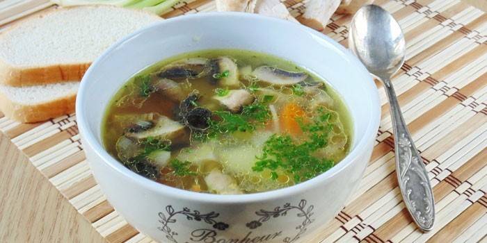 Zupa Grzybowa