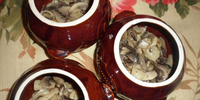 Champiñones en maceta