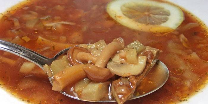 Mistura de cogumelo