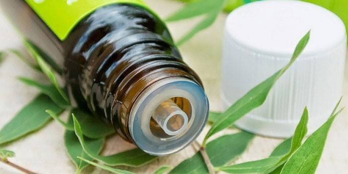 Óleo de tea tree em uma garrafa