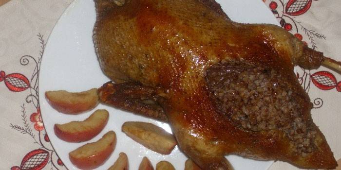 Carcaça de pato recheada com mingau de trigo sarraceno e fatias de maçã