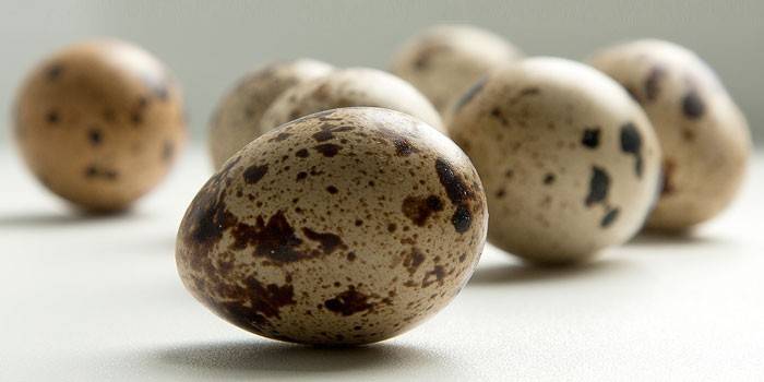 Ovos de codorna