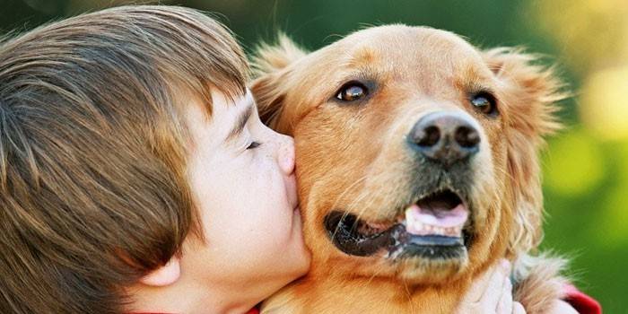 Menino, com, cão