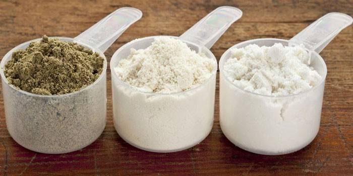 Proteína en polvo
