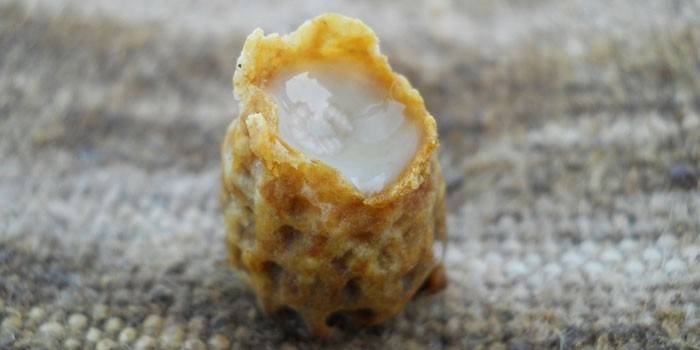 Jalea real