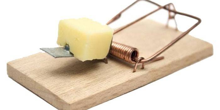 Ratonera de madera con una rodaja de queso