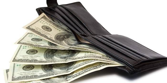 Dinero en la billetera