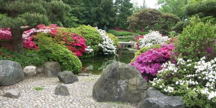 Design de jardim de estilo japonês