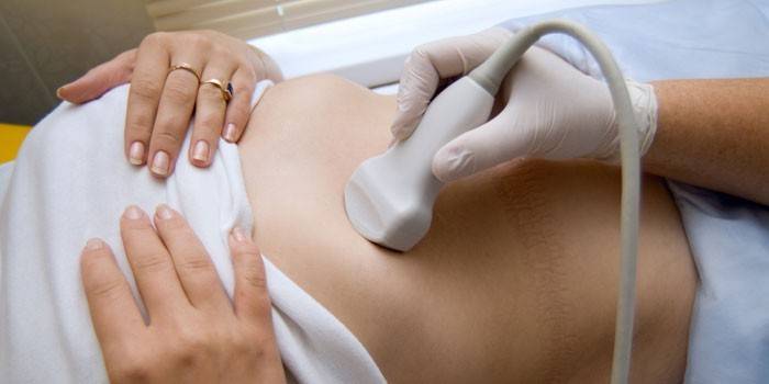 Se le realiza una ecografía abdominal a una niña