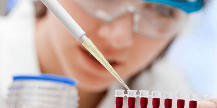 Técnico de laboratório, fazendo um exame de sangue