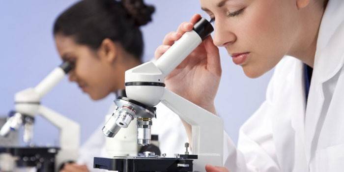 Laboratórni asistenti sa pozerajú cez mikroskop