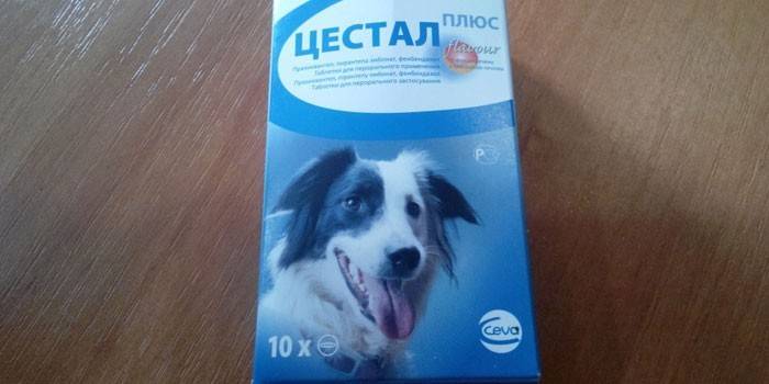 Embalaje Cestal Plus