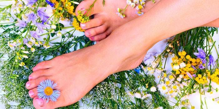 Pernas femininas e flores