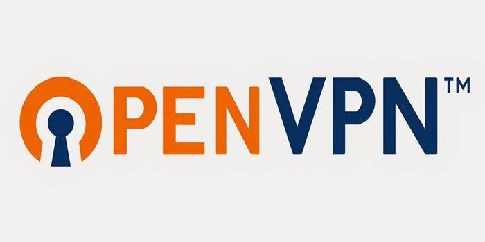 Logo OpenVPN