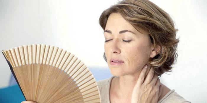 Mujer con un ventilador