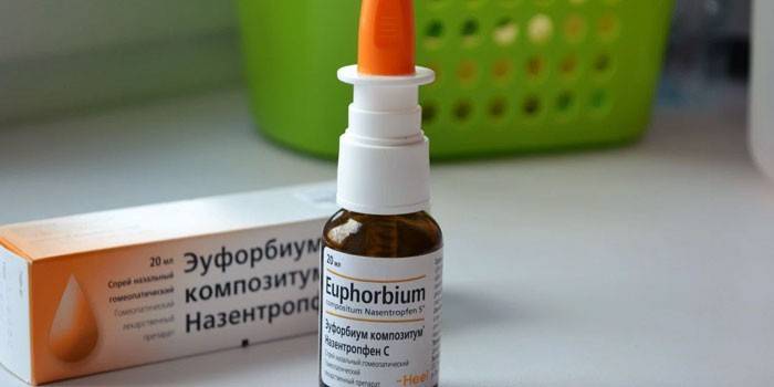 A droga Euphorbium