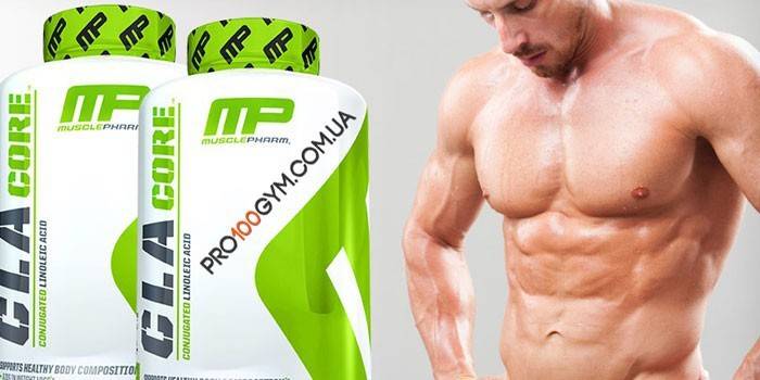 Dwie puszki spalacza tłuszczu CLA Core MusclePharm i mężczyzna