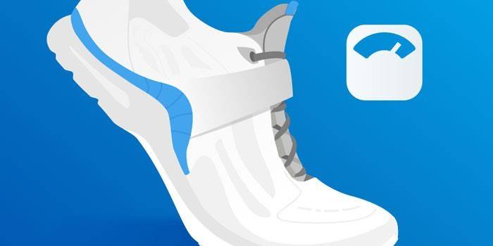 Viaden Mobile Step Counter Logo