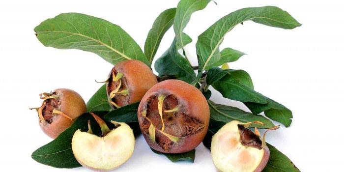 Fruta del níspero