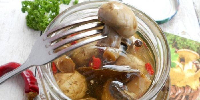 Champignon em conserva