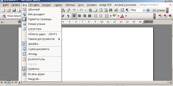 Okno programu MS Word 2003