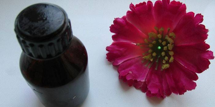 Castellani pintura y flor