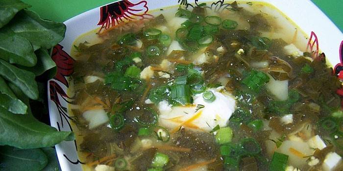 Sopa de acedera de caldo de pollo