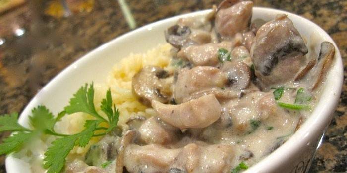 Prato com frango com cogumelos em molho cremoso