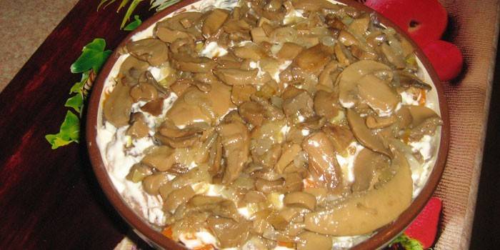 Salada de chanterelle com champignons em conserva