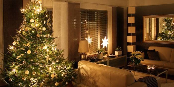 Árvore de Natal ao vivo no interior