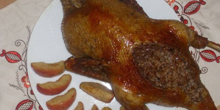 Pato De Trigo Sarraceno