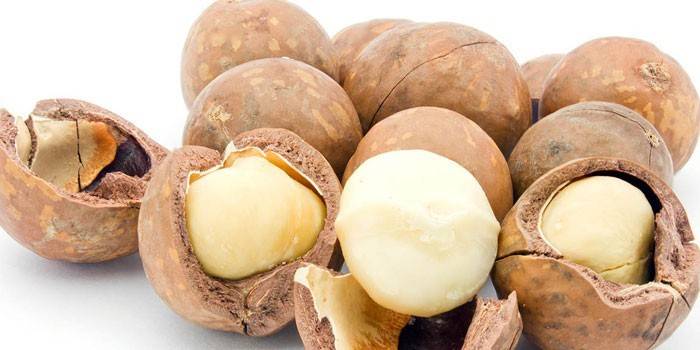 Orzechy makadamia