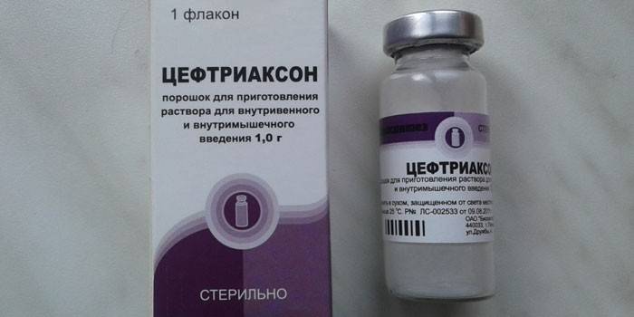 Ceftriaxona